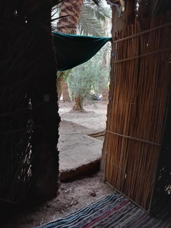 Forest Camp Siwa - كامب الغابة Siwa Oasis Ngoại thất bức ảnh